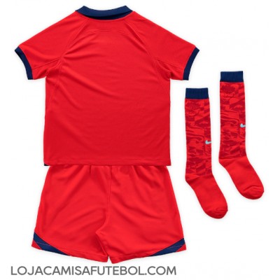 Camisa de Futebol Inglaterra Equipamento Secundário Infantil Mundo 2022 Manga Curta (+ Calças curtas)